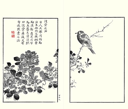 photo25.jpg