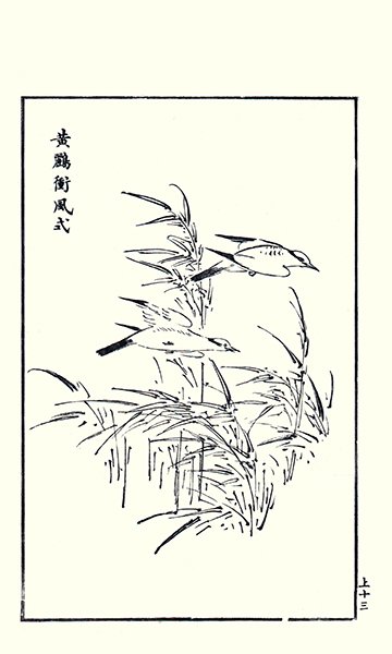 photo13.jpg