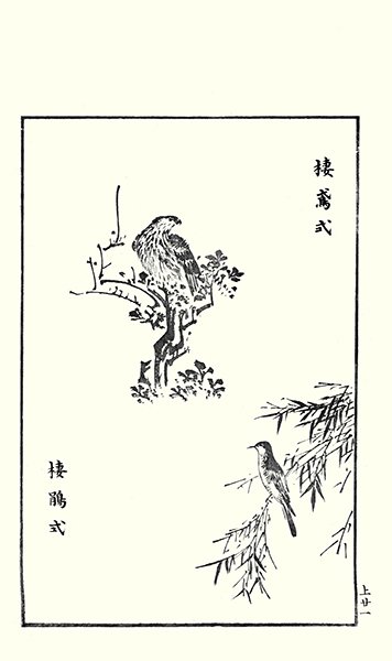 photo21.jpg