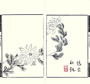 photo13.jpg