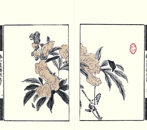 photo19.jpg