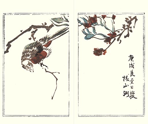 photo15.jpg