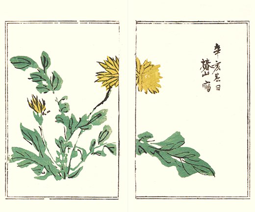 photo18.jpg