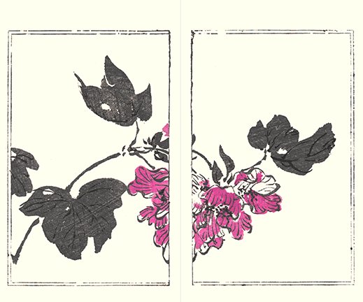 photo21.jpg