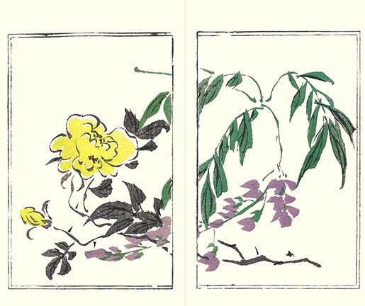 photo28.jpg