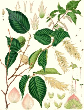photo21.jpg