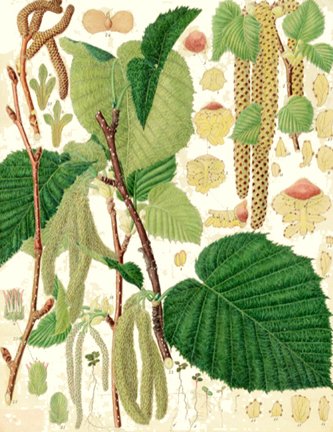 photo23.jpg
