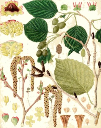photo28.jpg