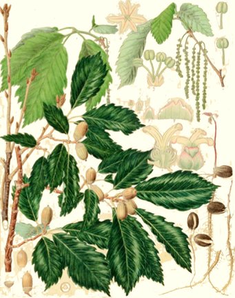 photo34.jpg