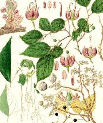 photo37.jpg