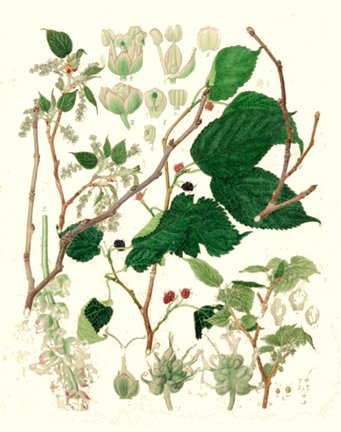photo38.jpg