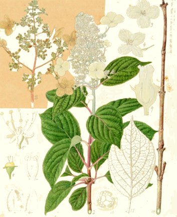 photo43.jpg