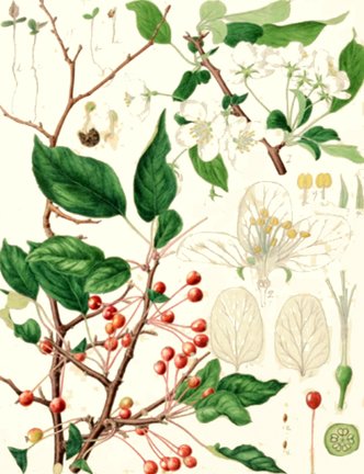 photo44.jpg