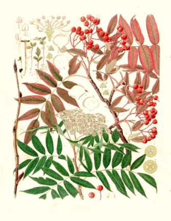 photo45.jpg