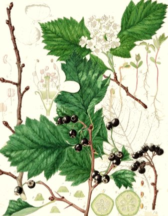 photo48.jpg