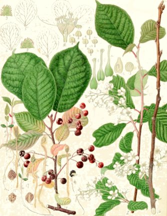 photo52.jpg