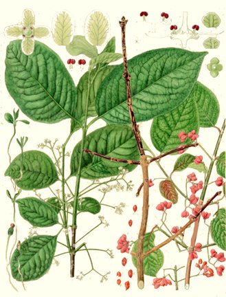 photo62.jpg