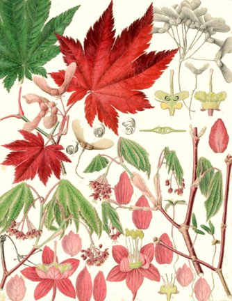 photo65.jpg