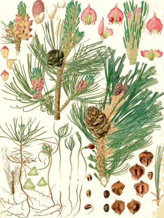 photo7.jpg