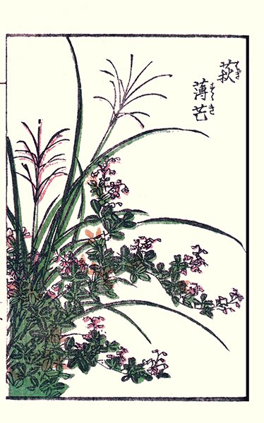 photo29.jpg