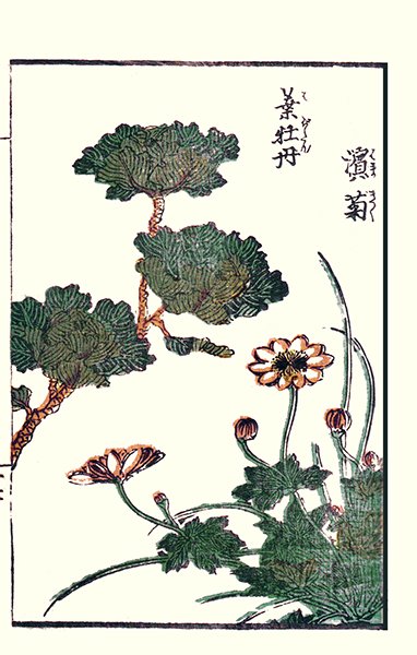 photo31.jpg