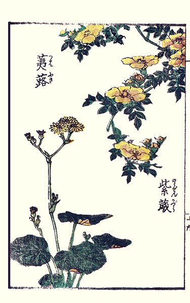 photo36.jpg