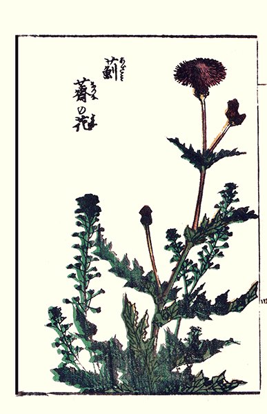 photo6.jpg