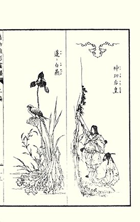 photo23.jpg