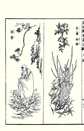 photo27.jpg