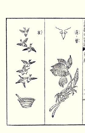 photo35.jpg
