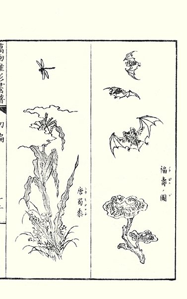 photo7.jpg