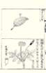 photo100_small.jpg