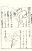photo106_small.jpg
