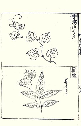 photo12.jpg