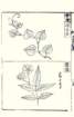photo12_small.jpg