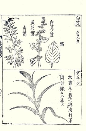 photo13.jpg