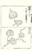 photo14_small.jpg