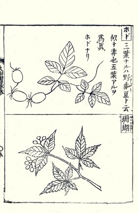 photo15.jpg