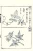 photo15_small.jpg