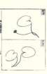 photo17_small.jpg