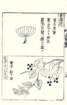 photo18_small.jpg