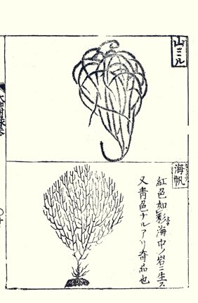 photo19.jpg