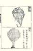 photo19_small.jpg