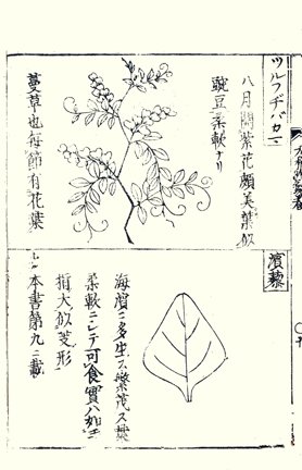 photo20.jpg