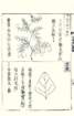 photo20_small.jpg