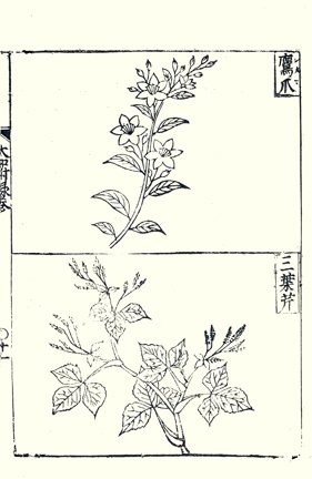 photo21.jpg