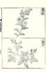 photo21_small.jpg