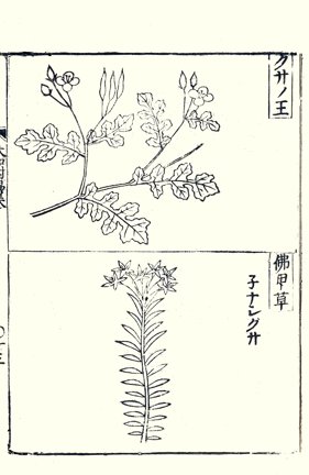 photo25.jpg
