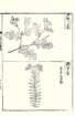 photo25_small.jpg