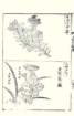 photo26_small.jpg
